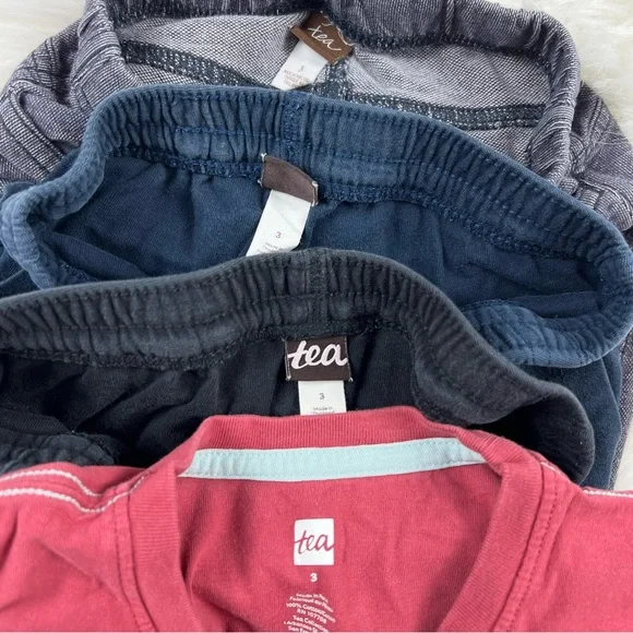 Tea Collection, Mini Borden 3T Boys Graphic T-Shirts and Shorts Assortment - Picture 9 of 9